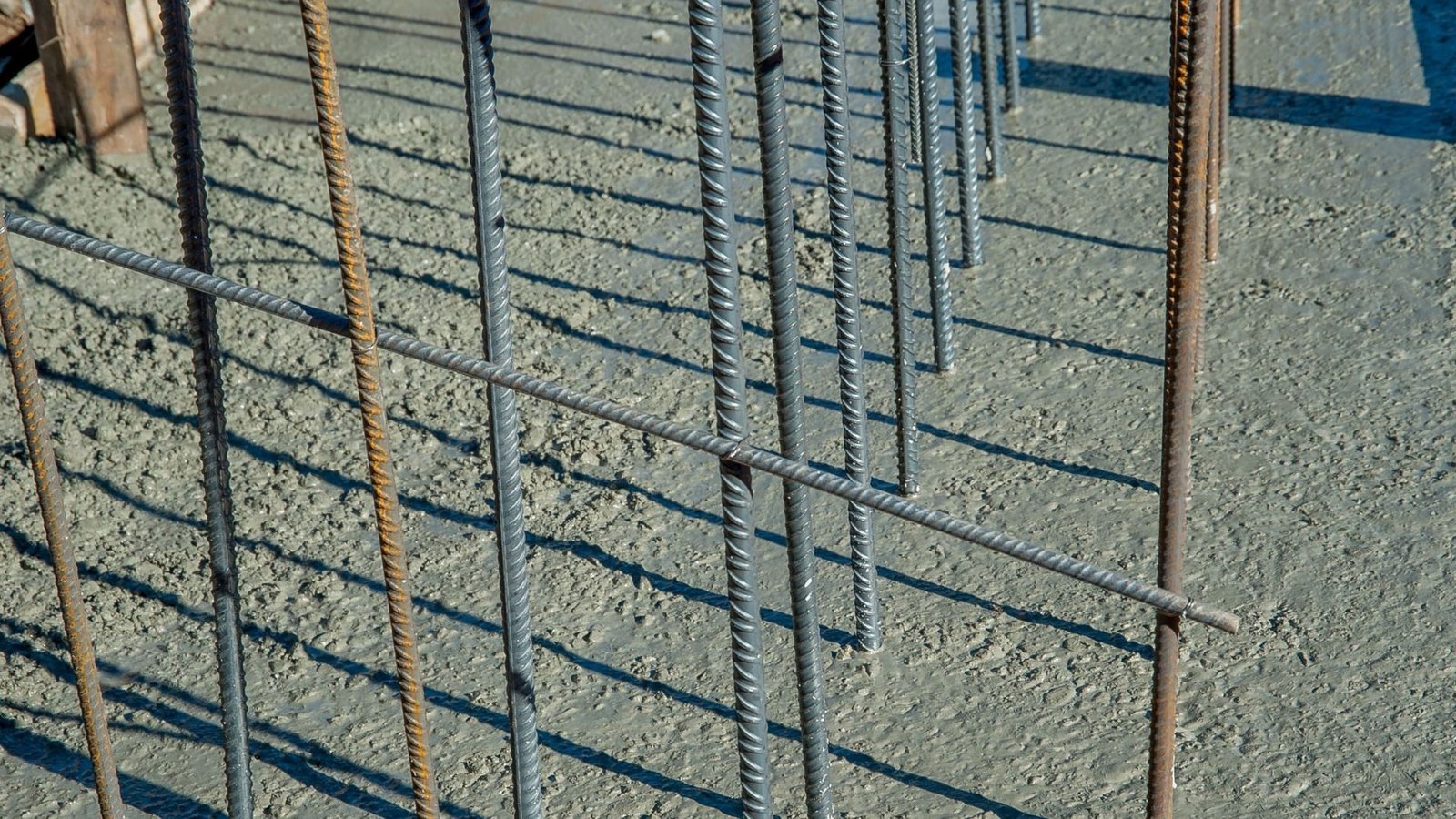 Close-up of exposed steel reinforcement bars in fresh concrete.